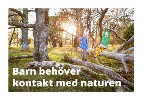   Bananflugsnäcka: Ett fantastisktExample på kamouflerande natur och en livsstil präglad av äventyr!